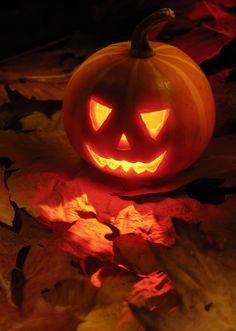 75 Spooktacular Halloween Messages and Wishes to Share with Friends and Family