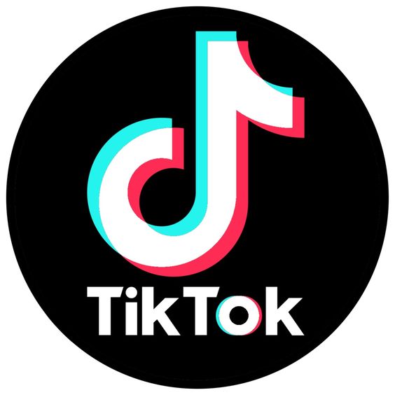 tiktok bio